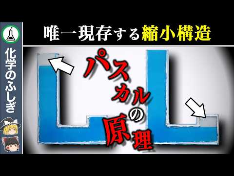 【ゆっくり解説】水の錯視...「誰もが分かる簡単な盲点」