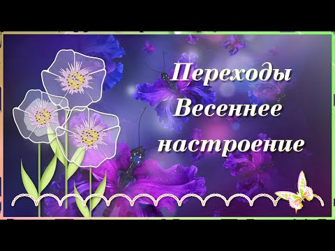 Цветочные переходы Весеннее настроение Proshow Producer