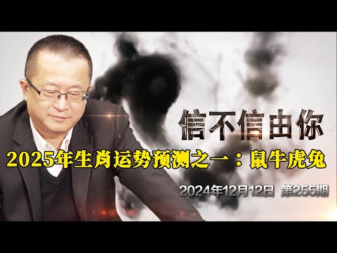 2025年生肖运势预测之一：鼠牛虎兔 《信不信由你》2024年12月12日 第255期