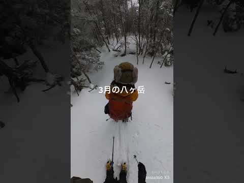 3月に八ヶ岳に行きました