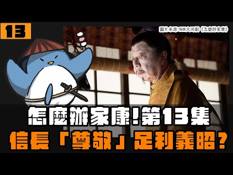 【怎麼辦家康】第13集・歷史解說 | 信長尊敬足利義昭？光秀用金平糖坑家康？