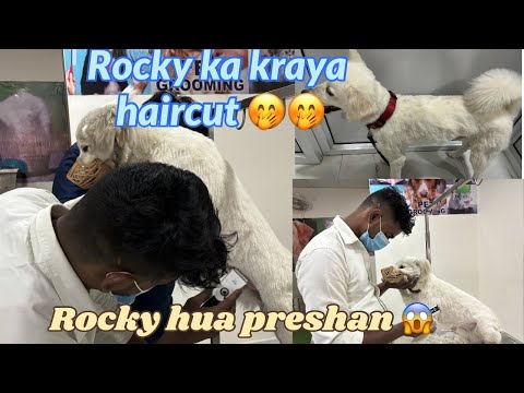 Aaj kraya ROCKY ka haircut | isne sbko kiya preshan | Pet grooming || JV44 #jaatnivlog #petgrooming