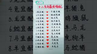 十二生肖最佳婚姻🐁🐮🐯🐰🐊🐍🐴🐑🐵🐥🐶🐷