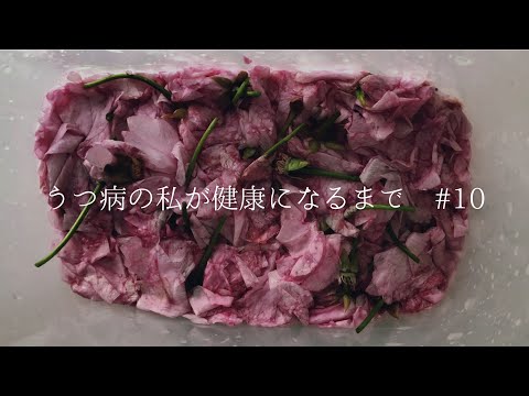 【桜の塩漬けの作り方】うつ病の私が美肌になる為の生活