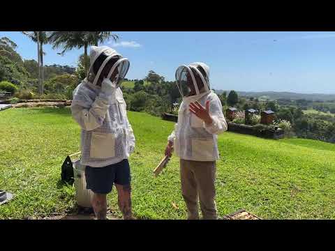 Honey harvest with Chef Matt Stone