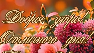 Воскресенье...Доброго всем утра💗💗💗