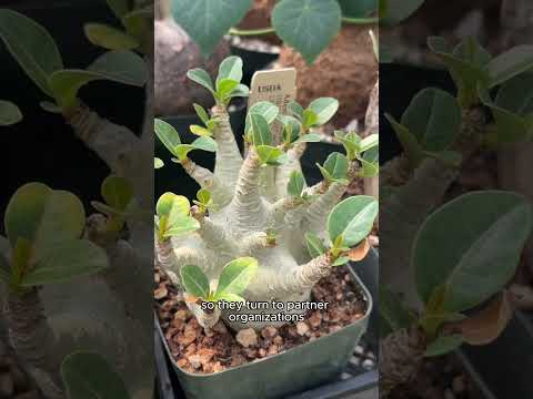 Plant Rescue Center Tour