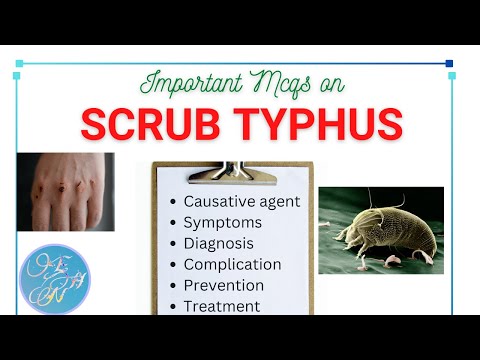 Scrub typhus MCQs questions with answers।। Detailed epidemiology (symptoms, Complication, Treatment)