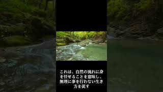 老子の教え心の平和と悟りを見つけるためのヒントや指南を提供します。悟りとは、内なる自己の理解と平和な心の状態を指し、古代の教えや現代の心理学を組み合わせて実践的な方法を紹介します。