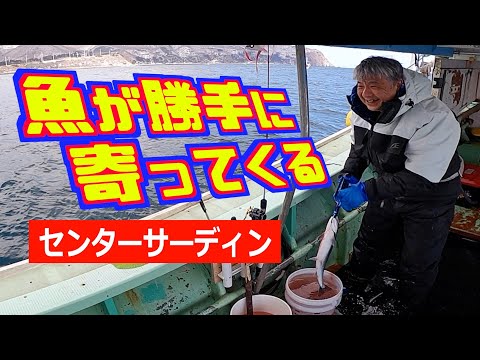 【桜鱒】前月、苦渋を味わった恵山沖でリベンジ果たす😤氷点下の海上で身も心もゲキ熱に