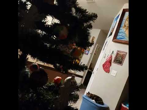 A Christmas Tree Decorated by a Blind Man let's take a "look"