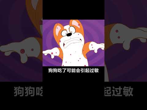 宠物科普 | 狗狗不能吃哪些水果？#shorts  #宠物 #animation #狗 #搞笑 #shortvideo #funny