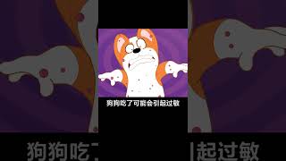 宠物科普 | 狗狗不能吃哪些水果？#shorts  #宠物 #animation #狗 #搞笑 #shortvideo #funny