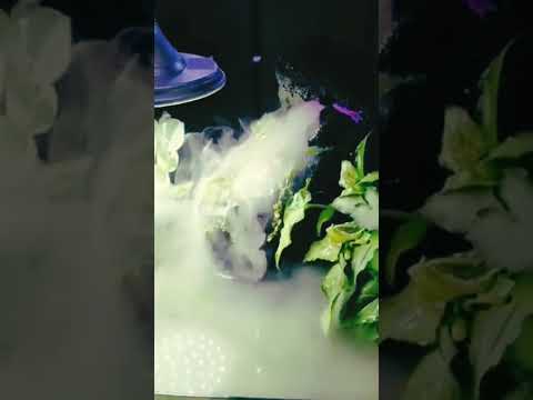 Cave waterfall aquarium 😍 ll smoke aquarium ll mist making aquarium