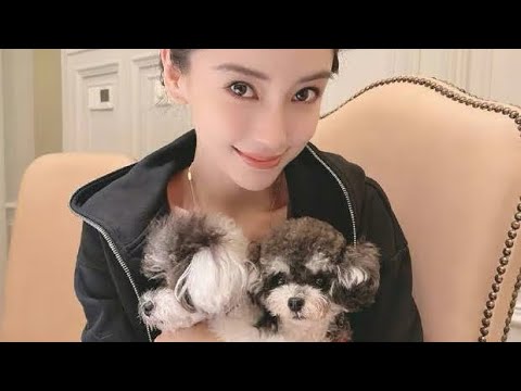 Angelababy杨颖抱着狗狗合影眼神温柔！怀中萌犬超可爱！