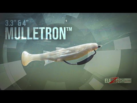 Introducing the Mulletron Loose Body