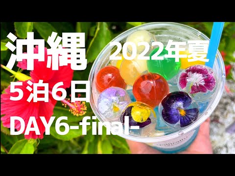 ◆夏の沖縄 5泊6日-final-◆南部観光【Vlog】DAY6　♯6／DMMかりゆし水族館／瀬長島　ウミカジテラス／最終日　那覇空港から新千歳空港へ