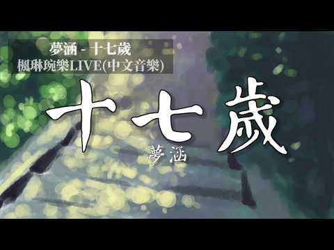 十七歲 - 夢涵【中文音樂】【動態歌詞】Lyrics【無損音質】十七歲依靠最多的是課桌，但是卻從來不會想起