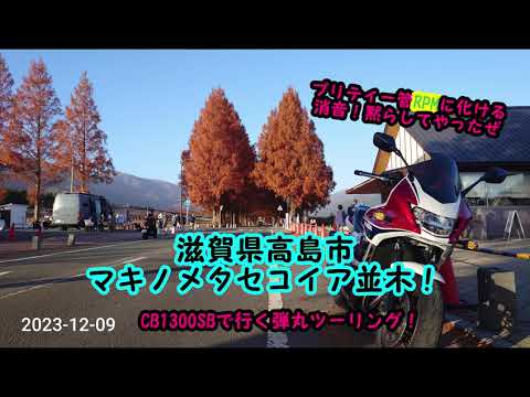 2023-12-08   マキノメタセコイア並木調査＆CB1300SB弾丸ツーリング！