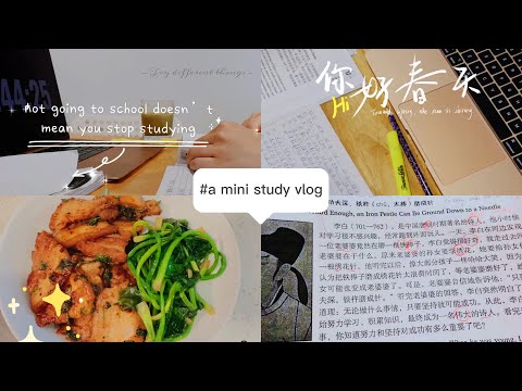 a mini study vlog #1 ( study Chinese with me + asmr cooking )