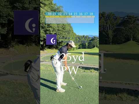 ベスト63のリアルラウンド#ゴルフ #ラウンド動画 #ゴルフスイング #golf #golfswing