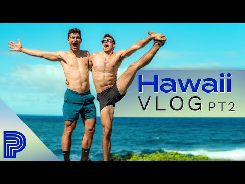 Sea Turtles, Waterfalls, and Hiking on MAUI! | HAWAII VLOG Pt. 2