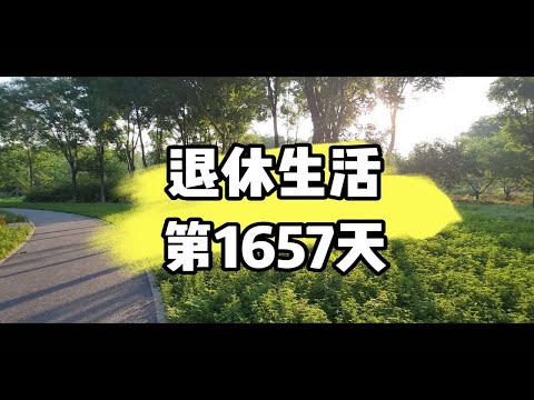 退休生活第1657天 | 2023年6月15日