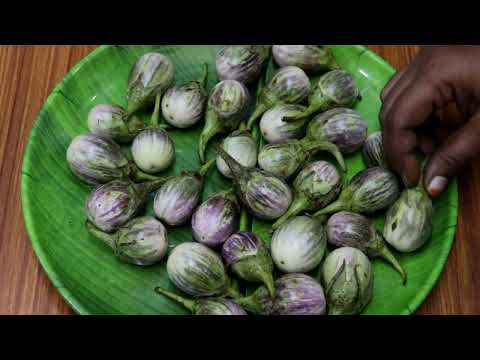 గుత్తి వంకాయ కర్రీ ఇలా చేశారంటే నాలుగు ముద్దలు ఎక్కువ తింటారు/Simple & tasty Guttivankaya cuury