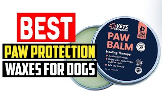 ✅Top 5 Best Paw Protection Waxes For Dogs Review in 2022