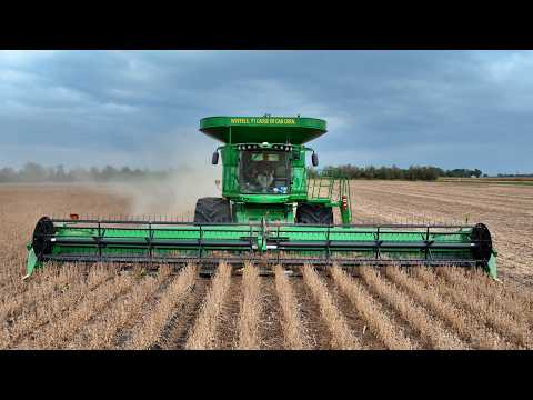 I feel strongly about windmills... Last day soybean harvest