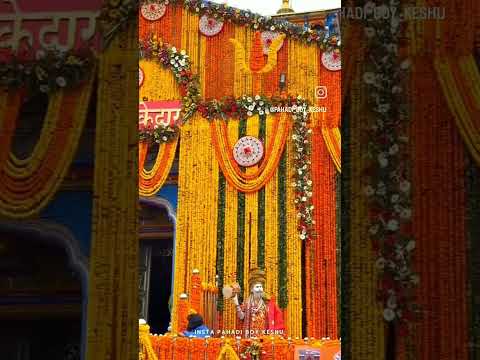 jay Shree🙏 kedranath...#mahadev #kedarnathtemple #kedarnathdham#kedarnathstatus #shrots #shortsfeed