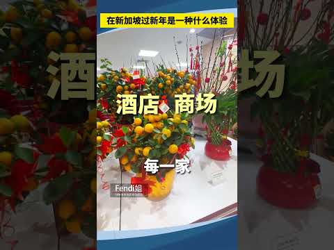 在新加坡过新年是一种什么体验？ #新加坡 #新加坡生活 #新加坡教育