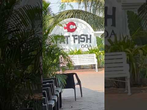 Fat Fish goa 🐟 | Special tish thali #goa #fatfish #viralvideo