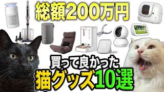 【総額200万】本当に買って良かった猫グッズ10選　《2024年版》