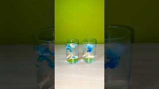 #shorts simple hot water and cold Water experiment #youtubeshortvideo #kansalcreation