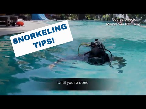 Snorkel Tips For Beginners - PADI Open Water Diver Course • Scuba Diving