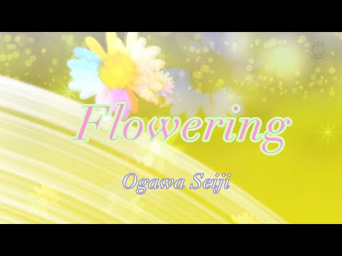 OGAWA SEIJI【Flowering】