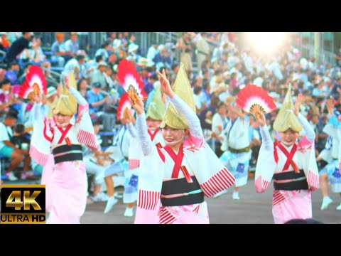 Japanese Traditional Performing Arts [Tokushima Awa Odori 2023]