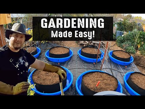 Growing A Garden At Home Was Never Supposed To Be This Easy! Gardening With Plant Abundance 🌞💦🌱🌿