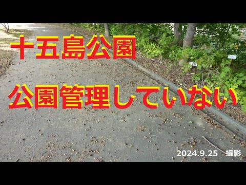 【十五島公園】十五島公園の管理をしていません　♪