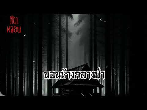 คืนหลอน    ep.49    |      นอนห้างกลางป่า