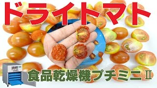 [野菜乾燥]ドライトマトの作り方（業務用食品乾燥機プチミニⅡ）