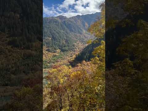 深秋季节：看万山红遍 层林尽染