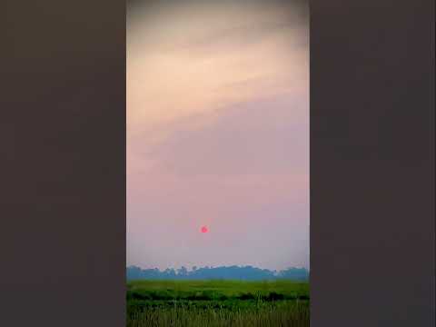 sunset short video !! সূর্য ডোবা !! Sunset view 🌅