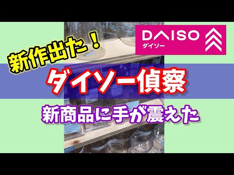 【ダイソー偵察】ついに出た！新商品に手が震えた #ダイソー #daiso #観葉植物 #houseplants #百均