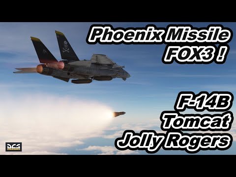 DCS World VF-103 Jolly Rogers F-14B Tomcat AIM-54 Phoenix Missile FOX 3 !