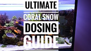 Ultimate Coral Snow Dosing Guide