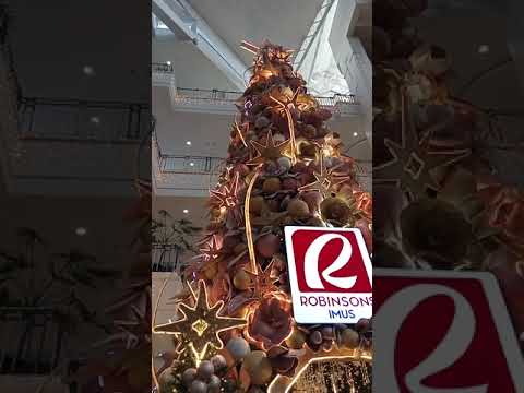 Vlog #1099 The Beautiful Christmas Tree