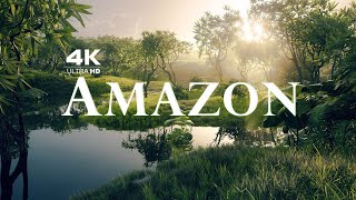 4K アマゾン 世界最大の熱帯雨林 ジャングルサウンド 野生動物 リラクゼーション