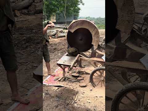 Wood cutting #woodworking #wood #woodwork #shortvideo #machine #woodcarving #woodshop #woodindustry